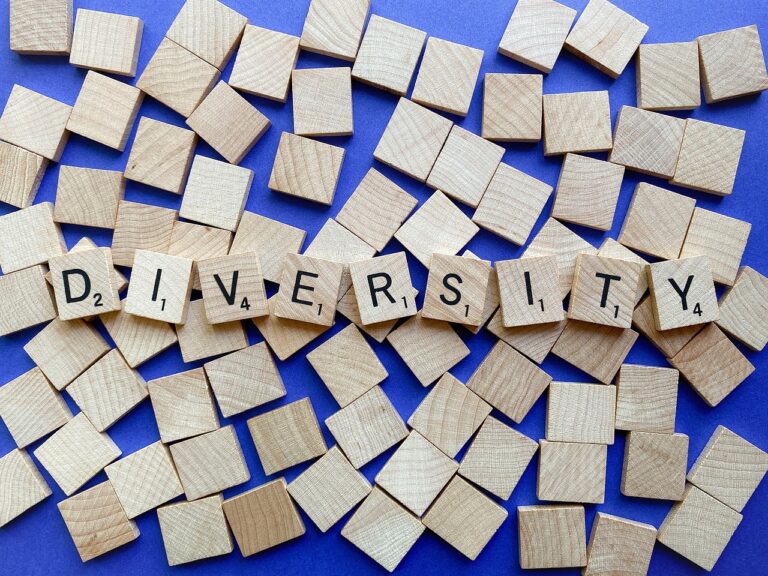 Diversity and Inclusion in US Colleges